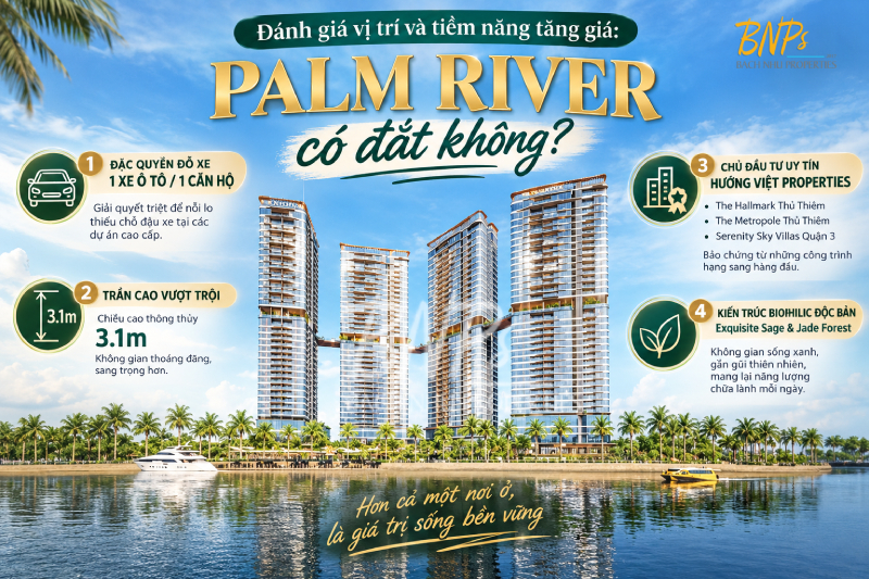 Đánh giá vị trí và tiềm năng tăng giá: Palm River có đắt không? - Bách Như Properties - BNP's