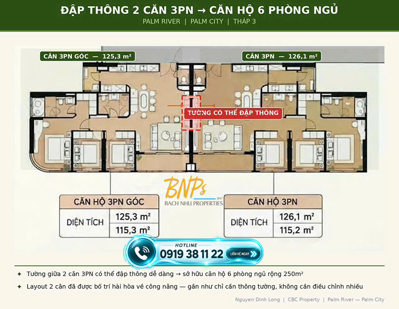 đập thông 2 căn 3pn thành 6pn - tháp 3 Palm River - Bách Như Properties - BNPs