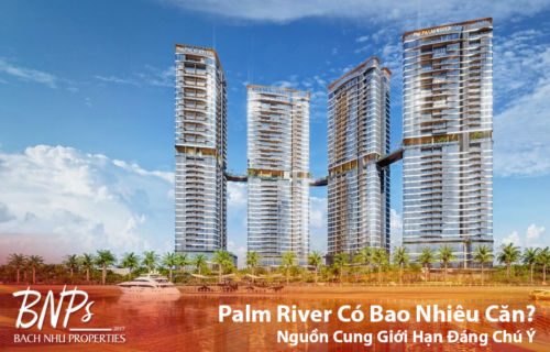 Palm River Có Bao Nhiêu Căn Vì Sao Nguồn Cung Giới Hạn Đáng Chú Ý - Bách Như Properties - BNP's
