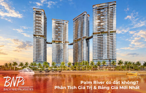 Palm River có đắt không? Phân Tích Giá Trị & Bảng Giá Mới Nhất